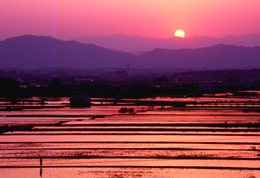 湖東平野の眺望