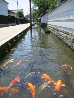 五個荘金堂地区の街並み