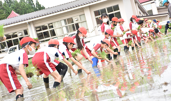 田んぼの学校