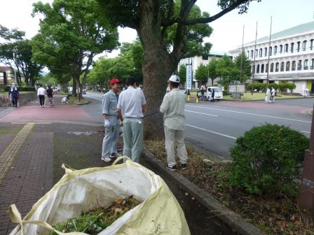 清掃活動を行う市長