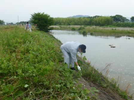 除草作業をする市長