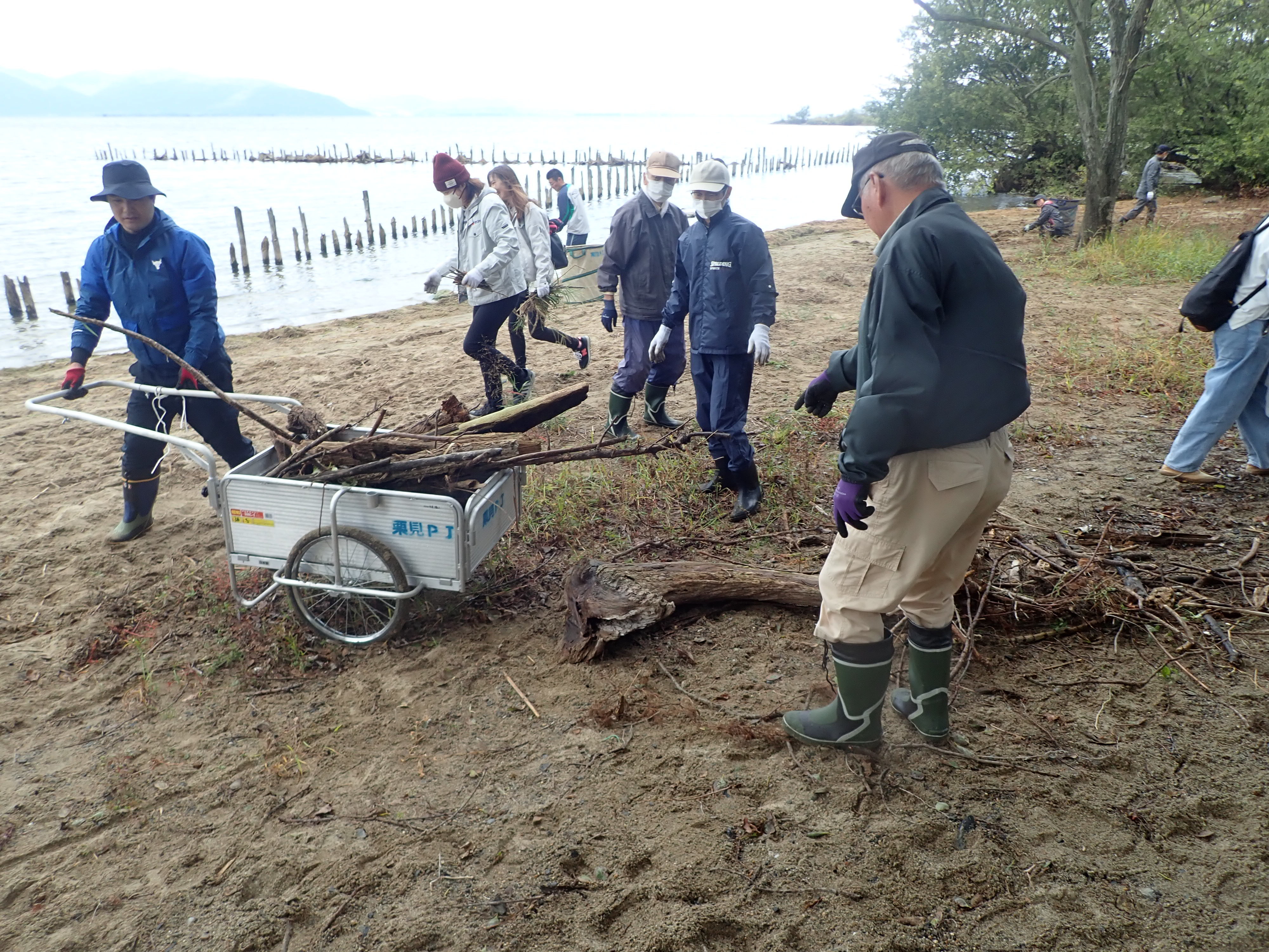  流木を集めます（栗見出在家町地先）写真