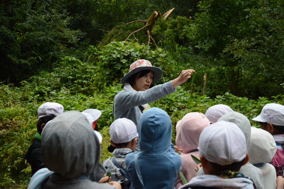 手に持った植物を子どもたちに見せる女性