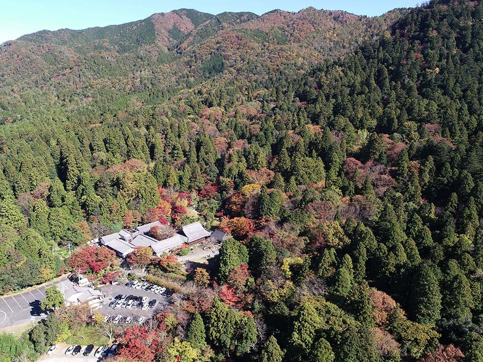 紅葉の百済寺　航空