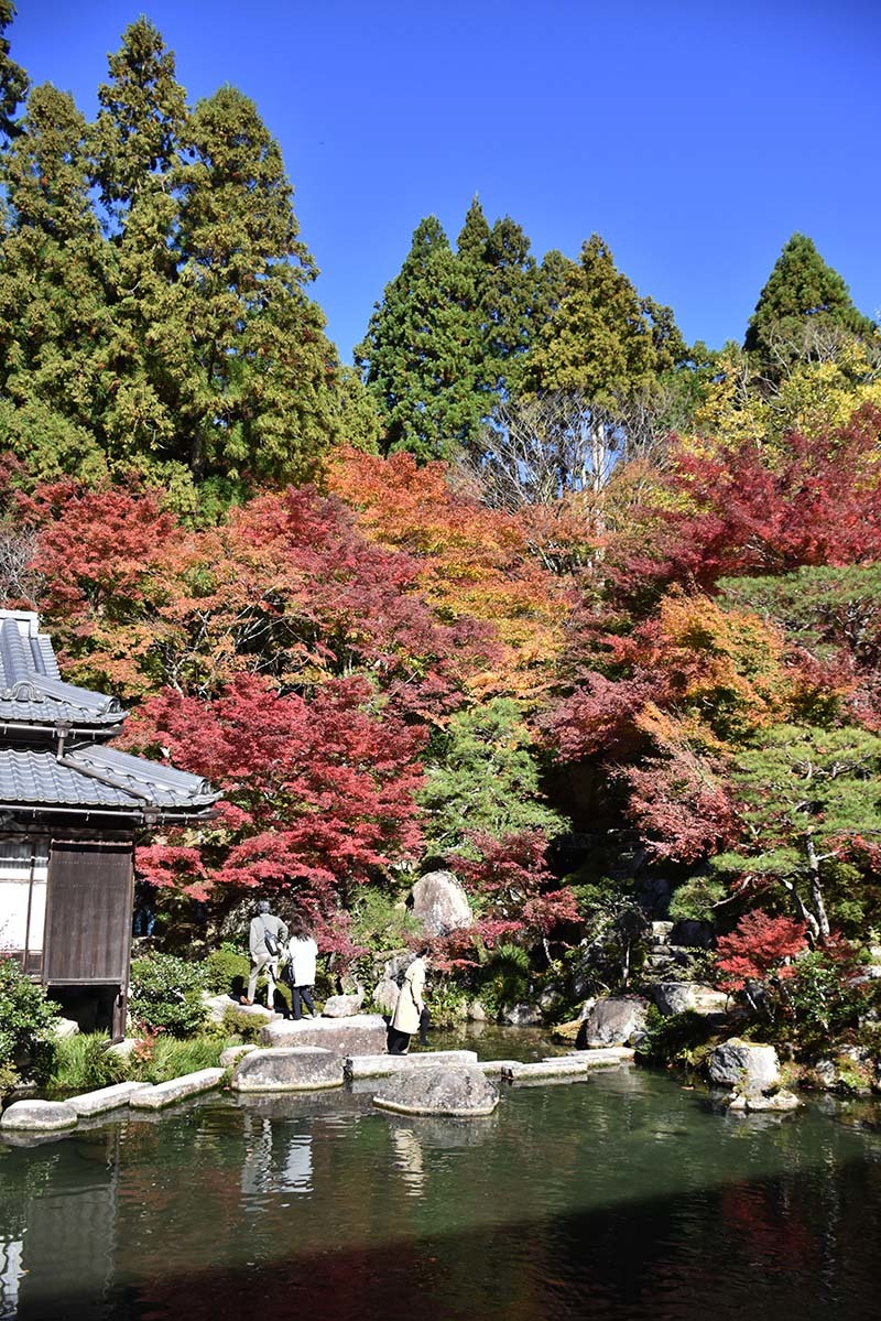 紅葉の百済寺　本坊付近