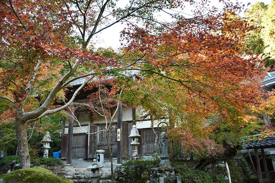 紅葉の石馬寺　本堂付近1