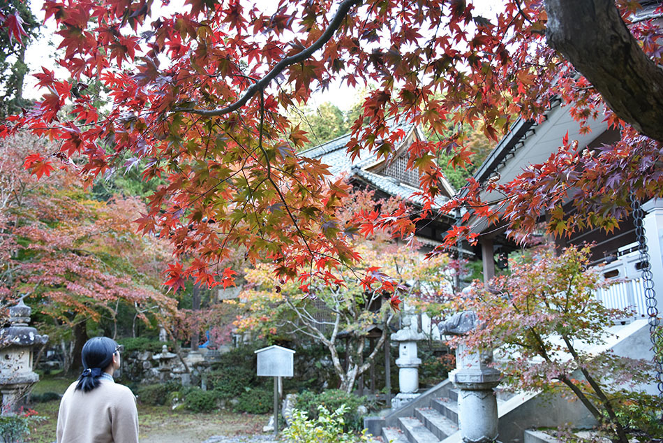 紅葉の石馬寺　本堂付近2