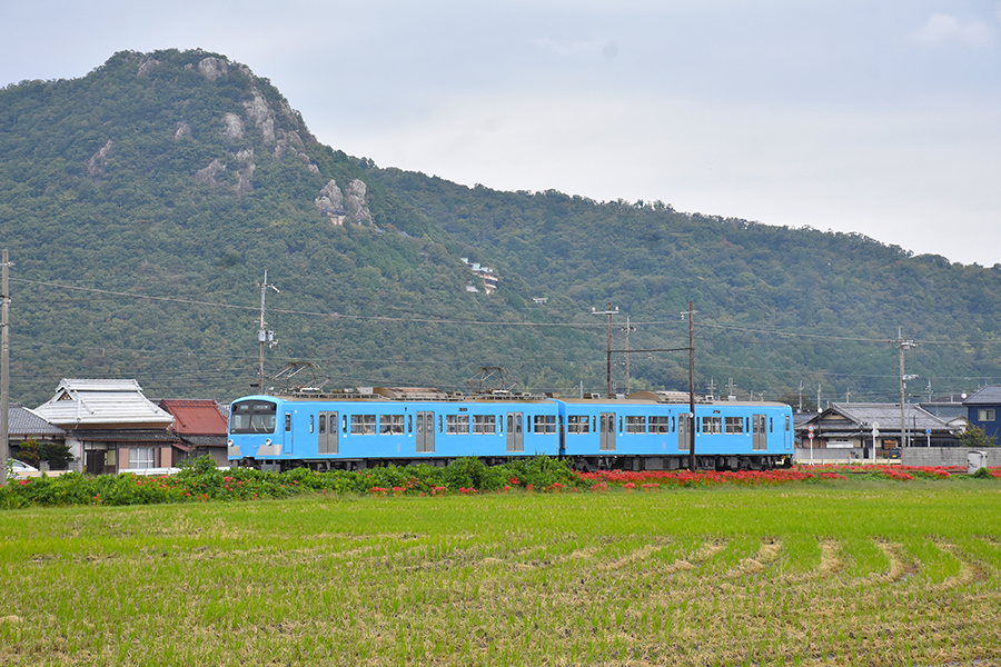 太郎坊宮、近江鉄道と彼岸花